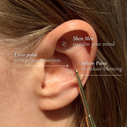 Auri Ear Seed Kit