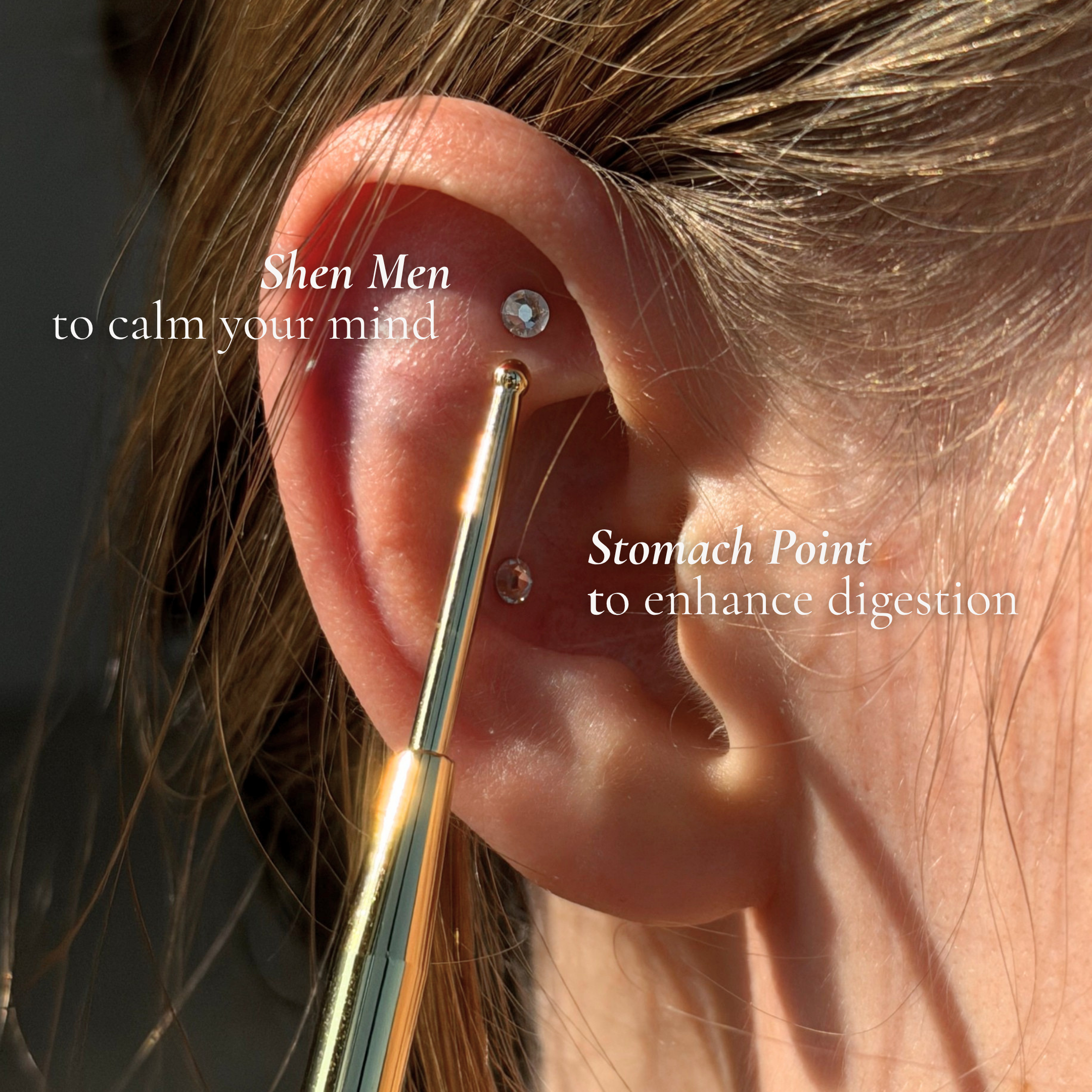 Auri Ear Seed Kit