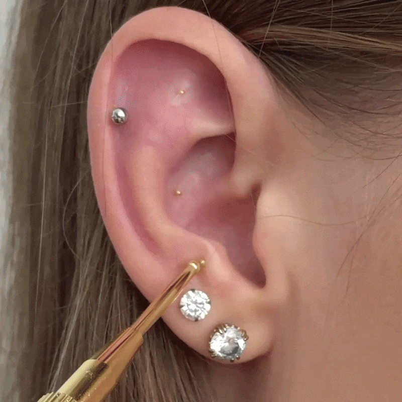 Auri Ear Seed Kit
